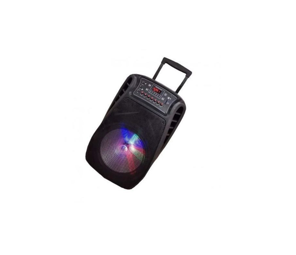 AILIPU Rechargeable Speaker with Wireless Microphone & Bluetooth