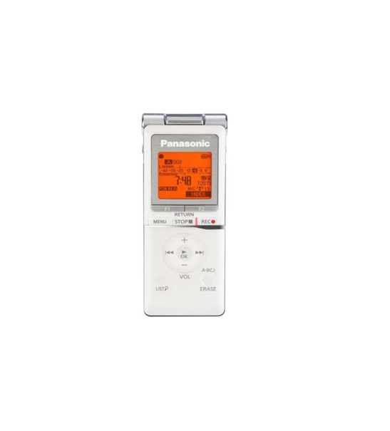 PANASONIC Digital Voice recorder AAA BATTERY 2GB STORAGE Plus EXPANDABLE - RRXS420