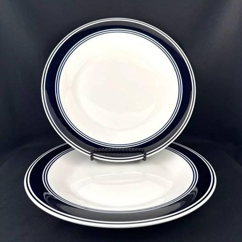 6 Pieces Set Of Ceramic Dinner Plates With A Unique Design-White/Blue