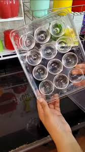 Best Egg Storage Organizer