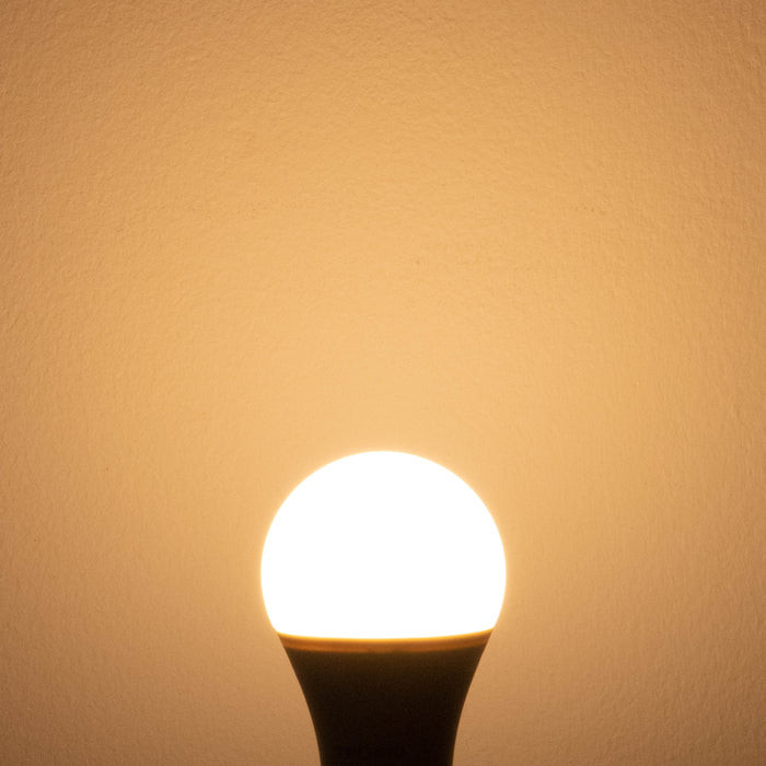 Bulb LED Tronic 13W E27 LE 1327-WW