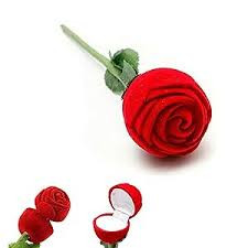 68aff7bea0a611756362686.jpg
